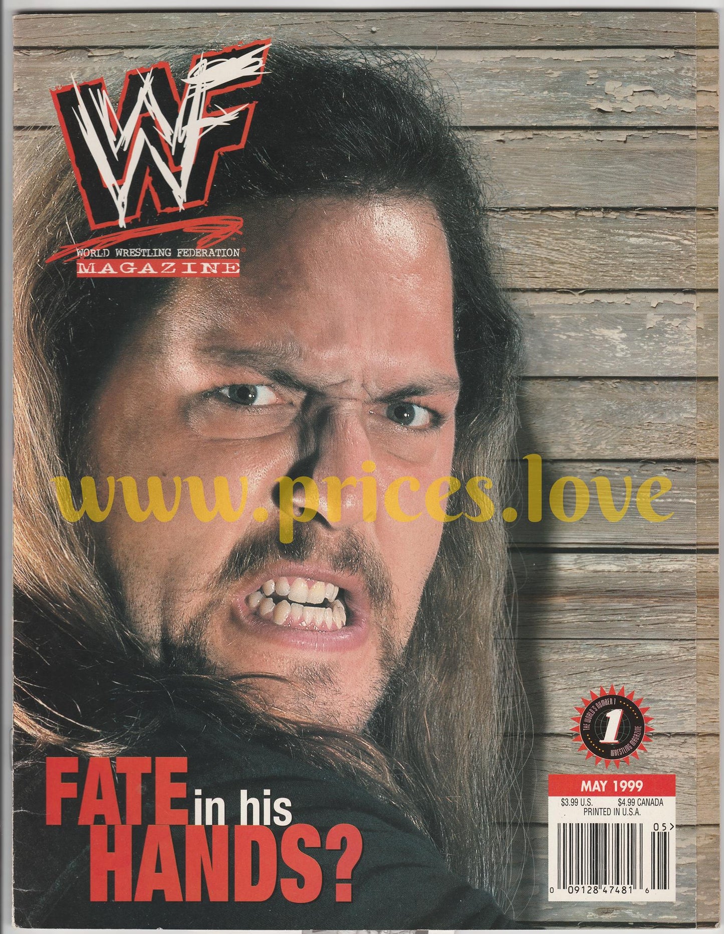 WWF Wrestling Magazine May 1999 Big Show (Face Cover Variant) Mideon POSTER WWE