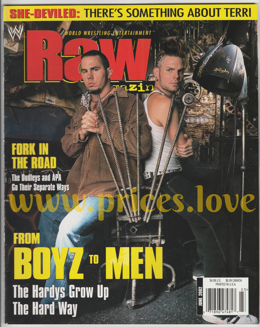 WWE RAW Wrestling Magazine June 2002 Hardy Boyz Terri POSTER WWF Dudley APA diva