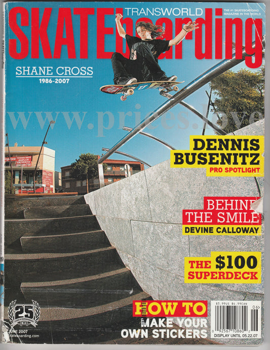 Transworld Skateboarding Magazine June 2007 Shane Cross Dennis Busenitz skate #2