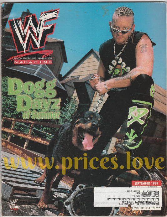 WWF Wrestling Magazine September 1999 Road Dogg Jesse James DX Ivory POSTER WWE