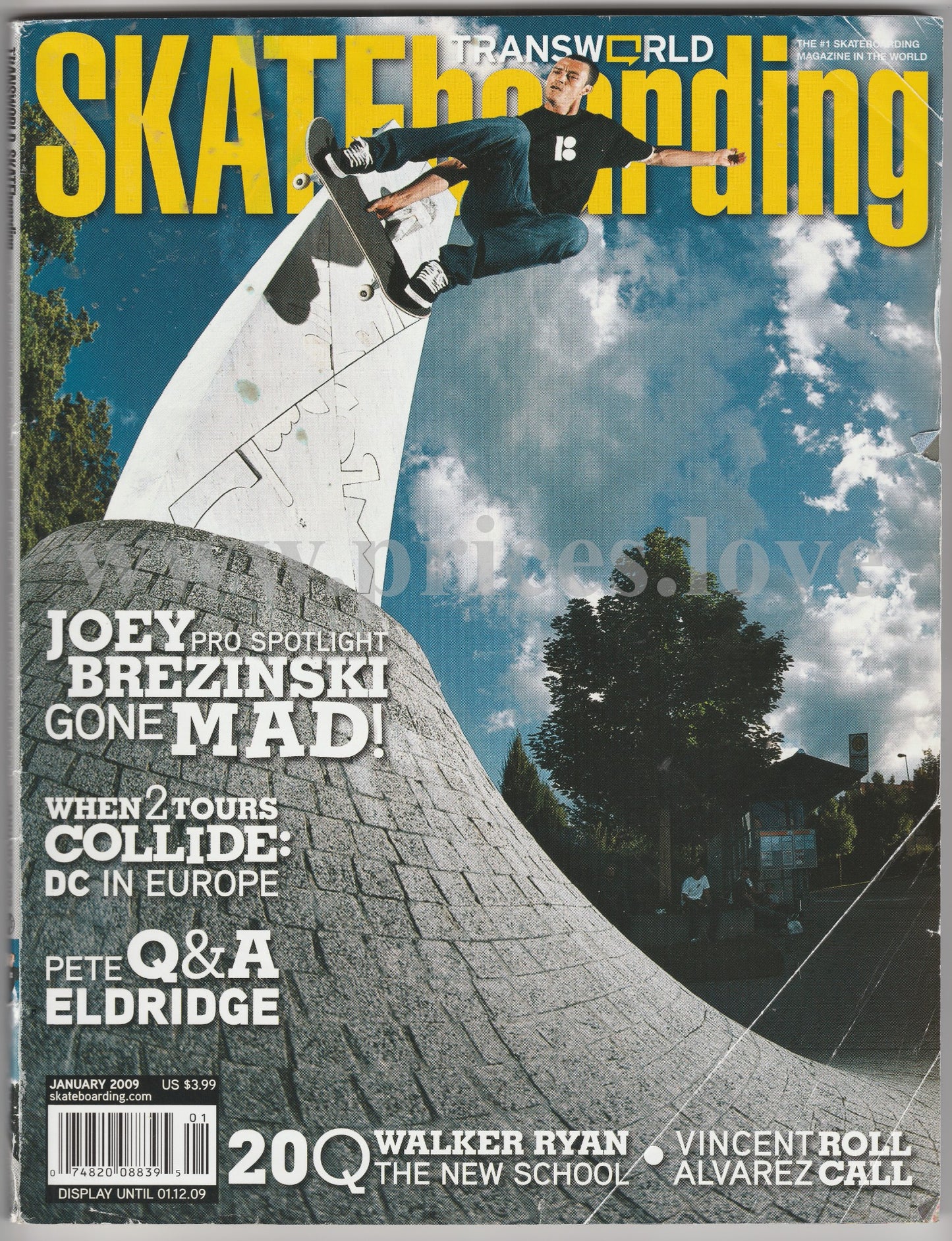 Transworld Skateboarding Magazine January 2009 Joey Brezinski DC Europe Eldridge