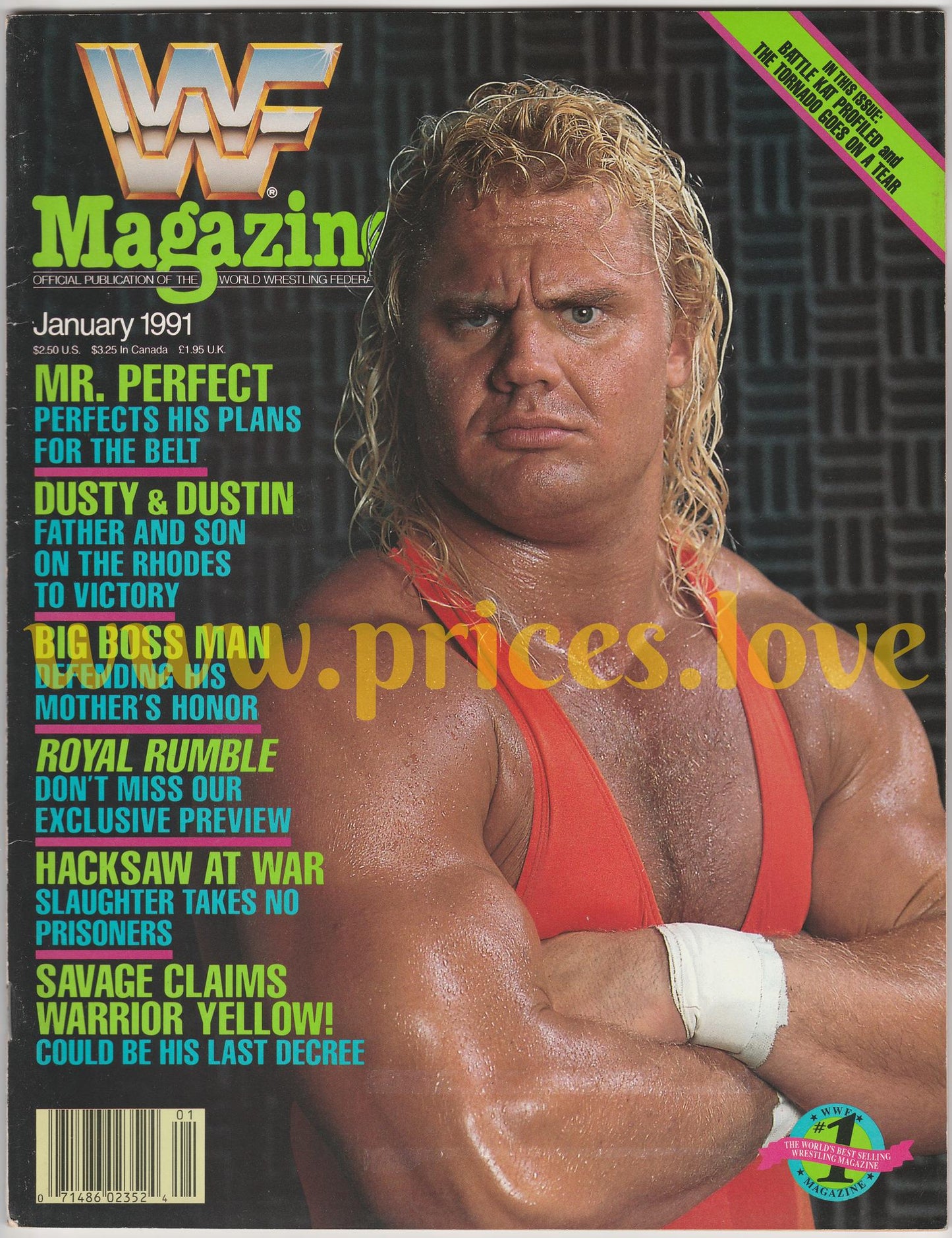 WWF Wrestling Magazine January 1991 Mr. Perfect Dusty Dustin Rhodes Rumble WWE