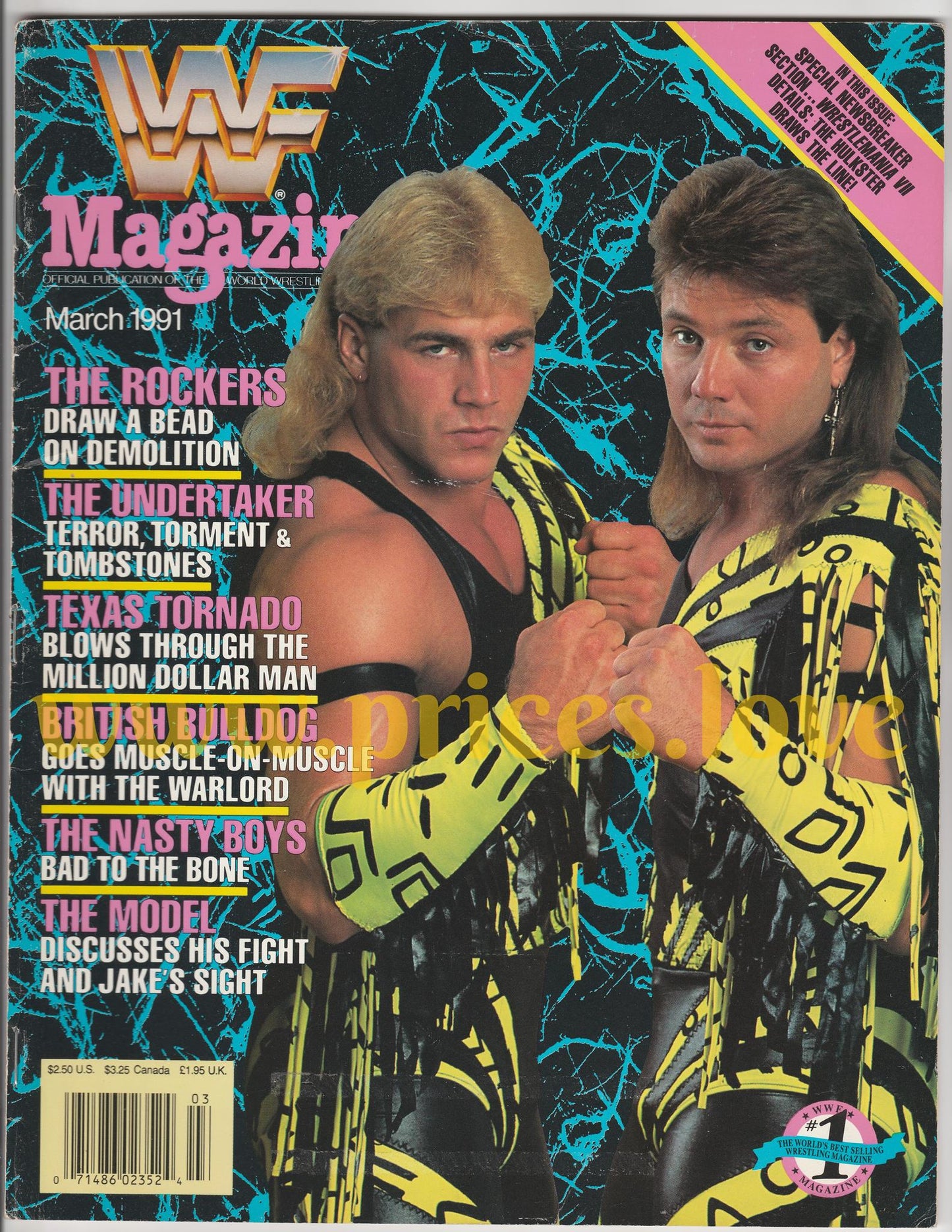 WWF Wrestling Magazine March 1991 Rockers Shawn Michaels Marty Jannetty WWE WCW