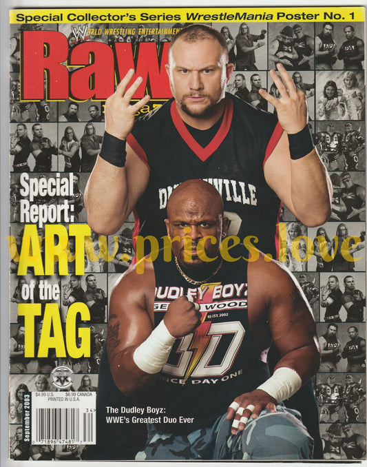 WWE RAW Wrestling Magazine September 2003 Team 3 D Dudley Boyz Wrestlemania WWF