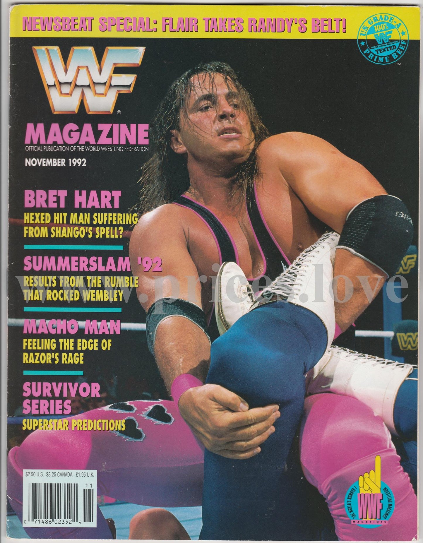 WWF Wrestling Magazine November 1990 Bret Hart Summerslam Macho Man Randy Savage