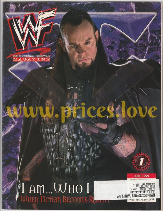 WWF Wrestling Magazine June 1999 Undertaker Hardy Boyz Matt Jeff POSTER wwe tna