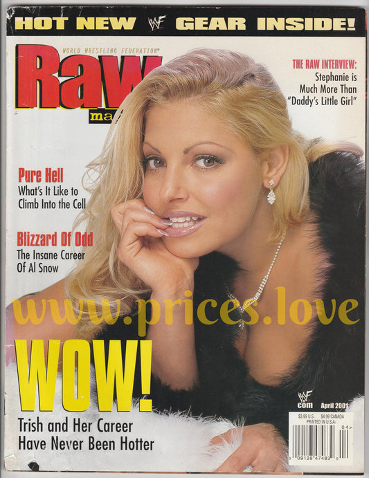 WWF RAW Wrestling Magazine April 2001 Trish Stratus POSTER Hell In A Cell WWE